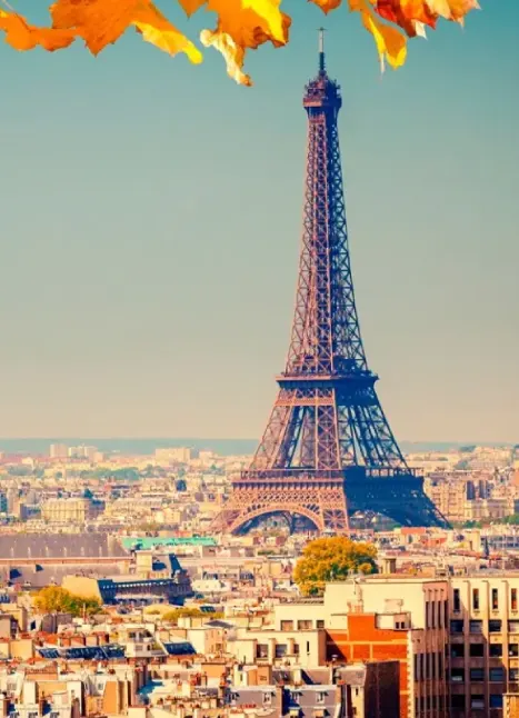 Transfer privato dal centro di Parigi a Disneyland Paris